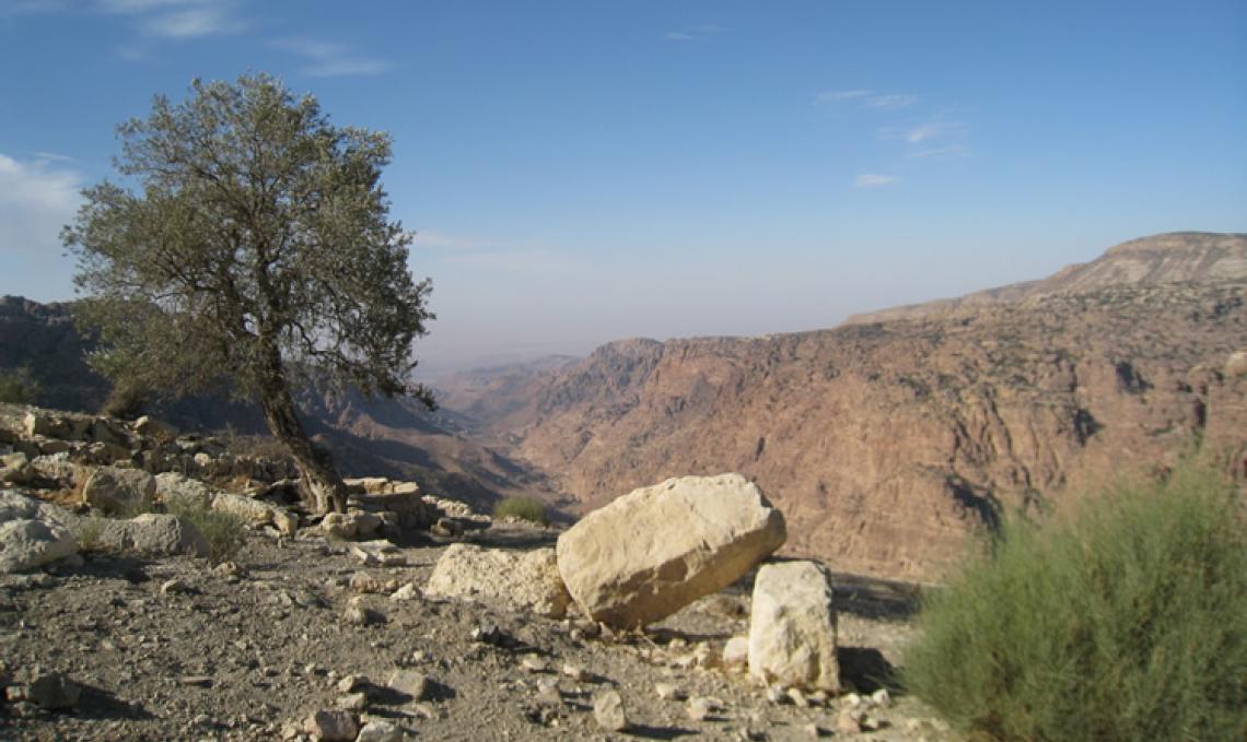 dana-trek-to-petra-wadi-dana.jpg3_.jpg dana-trek-to-petra-dana-village.jpg1_.jpg4